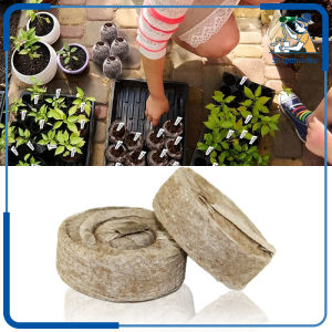 Pellet Media Tanam 10pcs Media Semai Siap Pakai Peat Media Semai Media Tanam Bibit Agriculture