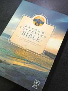 PCBS Beyond  Suffering Bible (Where Struggles Seem Endless Gods Hope Is Infinite