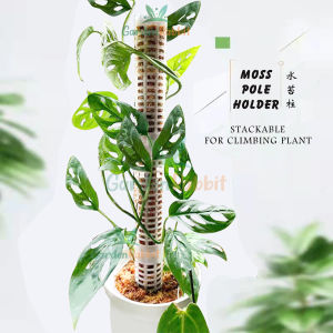 Stackable Moss Pole Plastic Plant Support for Climbing Orchid Monstera Sphagnum Gardening Tools and Accessories