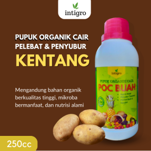 Pupuk Pembesar Kentang Penyubur Tanaman Kentang / Pupuk Cair Pelebat Umbi Kentang / Pupuk Kentang