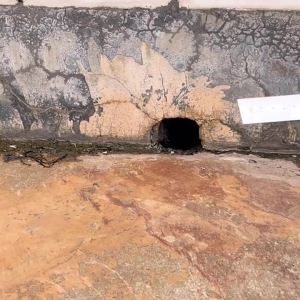 ZZSA Leaf Blocking Filter Screen Eaves Roof Drainage Garbage Prevention Floor Drain and Blockage Prevention R6P8Q
