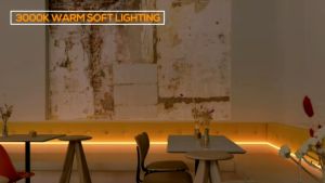 LED Lights Strip Light Ceiling LED With Light Waterproof Flexible 220v Indoor And Outdoor Lighting