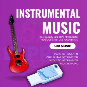 INSTRUMENTAL MUSIC COLLECTION  500 MUSIC | USB Flash Drive with Song Music | MP3 320 KBPS HIGH QUALITY MUSIC