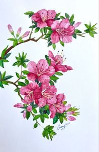 Hình Hoa Đào May Mắn inủi  áo Mặc Tết 2025 cute in áo tại nhà bằng bàn ủi (Nhiều kích cỡ & Mẫu)-NHẬN IN SỈ THEO YÊU CẦU.INBOX SHOP