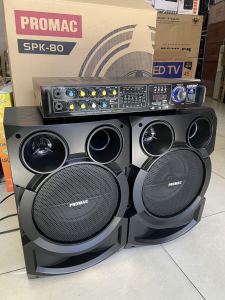 NEW SPK 80 SPEAKER W/ AMPLIFIER AND KARAOKE PLAYER 50W RMS