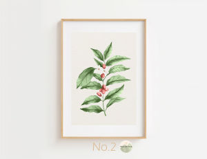 ภาพแต่งห้อง Coffee Style ภาพตกแต่งบ้าน ห้องครัว ร้านกาแฟ รูปแต่งห้อง รูปติดผนัง สไตล์มินิมอล โบโฮ โมเดิร์น แอบสแตรค