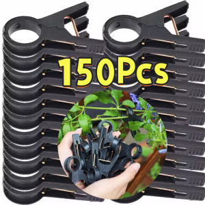 150pcs Plastic grafting clips garden vegetable plants Flat and Round