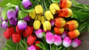 10 cây hoa Tulip giả bằng xốp cao 35cm ( màu giao ngẫu nhiên) - Hoa giả - TUYET XUAN SHOP