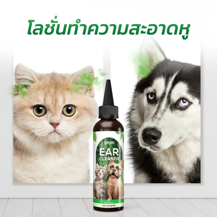 Gager น้ำยาเช็ดหู 120ml ลดกลิ่น ป้องกันไรหู