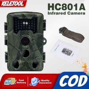 1080P Hunting Camera Infrared Night Vision Edition Wildlife Tracking Camera Waterproof Wildlife Camera