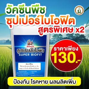 วัคซีนพืช ไคโตซานพืช ยากำจัดเชื้อรา ไวรัส แบคทีเรีย ป้องกันและกำจัดโรคพืช โรคพริก โรคมะนาว โรคมะเขือ โรคแตงกวา โรคฟักทอง โรคเน่าคอดิน โรคใบจุด โรคราสนิมขาวในผัก ราน้ำค้าง กำจัดแมลง ผลหลุดร่วง โรคพริกกุ้งแห้ง โรคฤดูฝน ใบจุด ใบไห้ม ใบด่าง เชื้อราเพิ่มผลผลิ