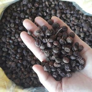 Hạt mắc mật (500g) mắc mật rừng quả móc mật gia vị đặc sản tây bắc gia vị thịt quay cá kho nấu bún phở thơm ngon
