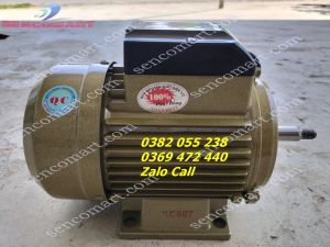 Motor động cơ điện Toàn Phát 1 pha 15 ngựa 2900v/p dây đồng Korea