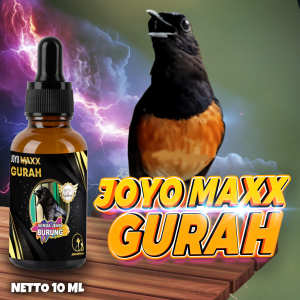 VITAMIN PEMBERSIH RONGGA HIDUNG | PEMBERSIH TENGGOROKAN BURUNG | MENGENCERKAN DAHAK | MAXX GURAH 10 ML
