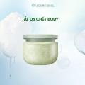 Tẩy tế bào chết bơ 250g thu nhỏ lỗ chân lông làm mềm giữ ẩm sáng da toàn thân - Natural Beauty. 