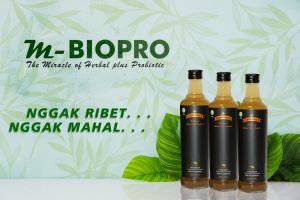 M Biopro 380ml: Solusi Herbal Plus Probiotik Atasi Alzheimer & Demensia