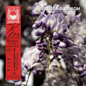 KARMAKAMET | Original Room Perfume Diffuser / Single | คามาคาเมต ก้านไม้หอมกระจายกลิ่น ตกแต่งบ้าน ปรับอากาศ ผ่อนคลาย