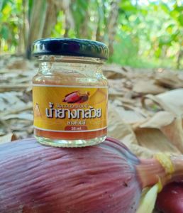 ยางกล้วย น้ำยางกล้วย น้ำยางจากหัวปลี สำหรับเขียนลายผ้า ทำให้เกิดสีน้ำตาล Pure BANANA Blood for painting