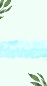 1 Renceng Minyak Goreng Murah Isi 10 Saset X 50ml