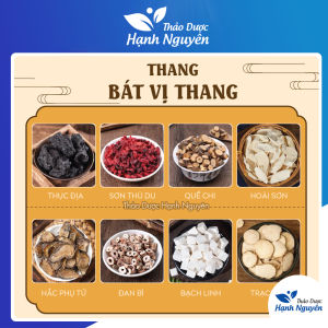 Thang bát vị tư âm bổ thận tốt cho cả nam và nữ - Thảo Dược Hạnh Nguyên