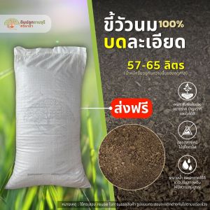 (ส่งฟรี)ขี้วัวนมบดละเอียด 1 กระสอบ (57-65 ลิตร) ปุ๋ยคอก มูลวัว ใช้เวลาจัดส่ง 5-7 วันทำการ