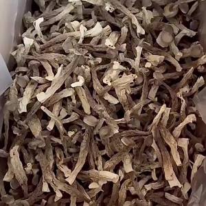 Instant Soup Deer Antler Mushroom 150g Edible Mushroom Crispy Mushroom 鹿茸菇 煲汤干货