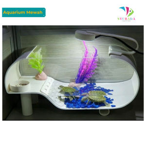 (PROMO) Aquarium Kura Kura / Akuarium mini kaca akrilik serbaguna lengkap dengan batu dan bunga lampu LED (KK)