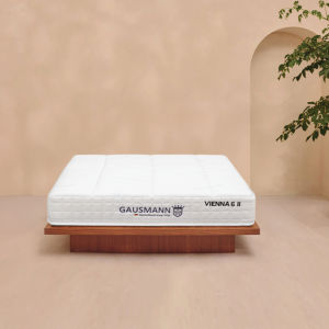 6" Gausmann Vienna 6 Adjustable Bed Mattress
