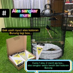 Alas sangkar kandang burung murai no 1  perbox