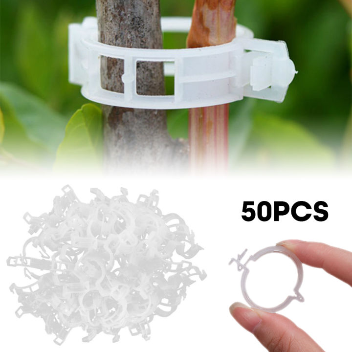 50PCS/Set Reusable Plastic Plant Support Clips Plants Hanging Vine ...