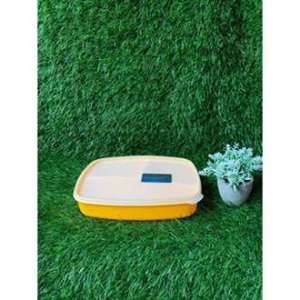 Misting Lunch Box Clio Tempat Penyimpanan Kotak Bekal Makan Anak Dewasa Plastik Bpa Free Food Grade Hadiah Ulang Tahun