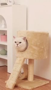 4L StainlessWater Fountain Automatic Wireless Sensor Dispenser for Cats with