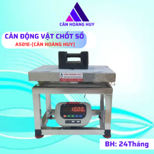 Cân điện tử chốt số 150kg-A501Einox 304chuyên dùng cho cân động vậthàng hóa   CÂN HOÀNG HUY