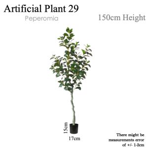 ⭐PEPEROMIA TREE⭐ Artificial Plant Decor Tree Indoor Plant Decoration Plant Home Decor Office Plant Lobby Plant Decoration Artificial Greenery Indoor Tree Artificial Plant Decoration Indoor Plant Decor for Home Office Hotel Lobby Interior Decoration