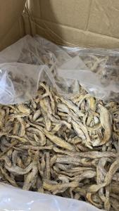 Ikan Masin Siting Lumi (100gram)