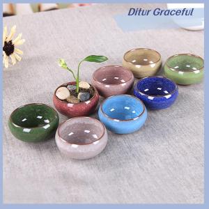 Ditur Cute Ice-Crack Glaze Flower s Succulent Planter Mini Plant Pot Home Decor
