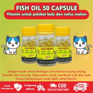 Minyak ikan untuk kucing fish oil liver vitamin meningkatkan nafsu makan kitten pelebat bulu dan menyehatkan kucing isi 50 kapsul