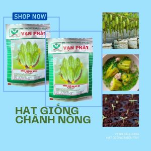 Hạt giống (mướp đắng) Khổ qua VẠN PHÁT 20RG