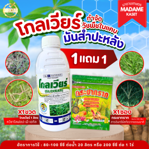 (โปร1แถม1)  โกลเวียร์ (ควิซาโลฟอป-พี-เอทิล) เคลียร์หญ้า ฉีดทับมันสำปะหลังได้ ใบแคบเอาอยู่ ปลอดภัยต่อมัน ฉีดทับได้ทั้งมันและแปลงผัก (1 ลิตร)