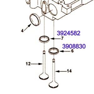 3924582 / 3908830 VALVE INSERT 3904715  PACK OF 6PCS [LOCAL SUPPLIER. PRE-ORDER ONLY] CUMMINS ENGINE 6CT 8.3C ISC QSC 4B B3.9