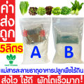 *ค่าส่งถูก* สารละลาย AB ไฮโดรโปนิกส์ เอบี ธาตุอาหาร น้ำ ผักไฮโดร Hydroponics สลัด ผักไทย ผักกาด ผักจีน ปลูกพืชไร้ดิน ปลูกผักไฮโดร. 