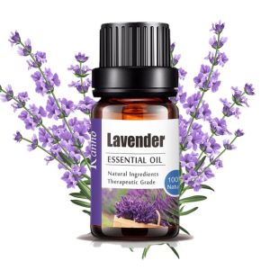 กลิ่นธรรมชาติ น้ำมันหอมระเหยบริสุทธิ์ น้ำหอมอโรม่า น้ำมันอโรม่า เหมาะสำหรับเครื่องเพิ่มความชื้น Essential Oil น้ำมันหอมระเหย น้ำมันหอม น้ำมันสกัด สารสกัดจากพืช 10 มล