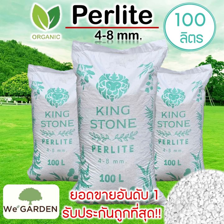 5 อันดับ เพอร์ไลท์ (Perlite) วัสดุปลูกคุณภาพดีที่สุด อัปเดตปี 2025
