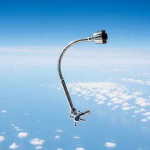 Kran Angsa Flek Besar Wanly