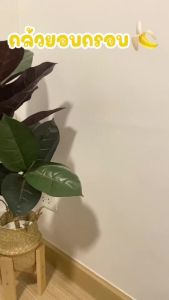 กล้วยอบกรอบ กล้วยน้ำว้าอบกรอบ เกรดA ขนาด200กรัม ❌ แป้ง ❌ น้ำตาล ขนมทานเล่นไม่อ้วน