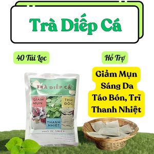 TRÀ DIẾP CÁ Giảm Mụn Thanh Nhiệt  40 Túi Lọc Trà Đông Y Việt
