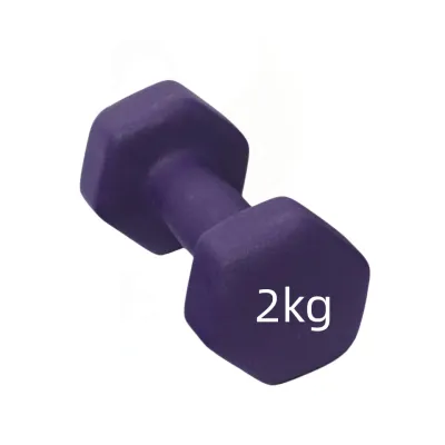 【Fast Delivery】Hexagon Dumbbell Home Weight Lifting Training Equipment Fitness Exercise Gym Workout 1kg 2kg 3kg 4kg Vinyl Dumbbell Lady Dumbbell In Fitness Dumbbell Set Pilates Gym Equipment