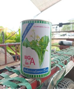 เมล็ดพันธุ์ ผักกาดกวางตุ้ง กวางตุ้งดอกต้นขาว บิ๊กเอ Big A (80 กรัม) เมล็ดกวางตุ้งดอก เมล็ดพันธุ์ผักสวนครัว ตราปลาทอง