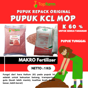 Pupuk Kcl Mop / Pupuk Kcl Asli 1kg / Pupuk Kcl Kemasan 1 Kg / Pupuk Kalium Fosfat Tinggi /Pupuk Kalium Tinggi / Pupuk Kalium Untuk Tanaman Cabe / Pupuk Kalium Mop / Pupuk Kalium Tinggi / Pupuk Kcl Merah