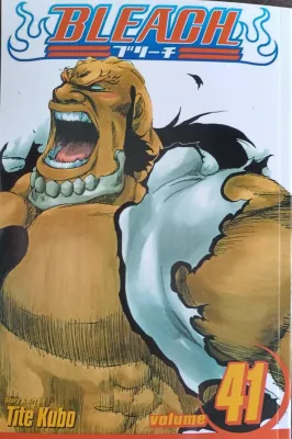 BLEACH (ENGLISH COMIC）VOL 41-74 END